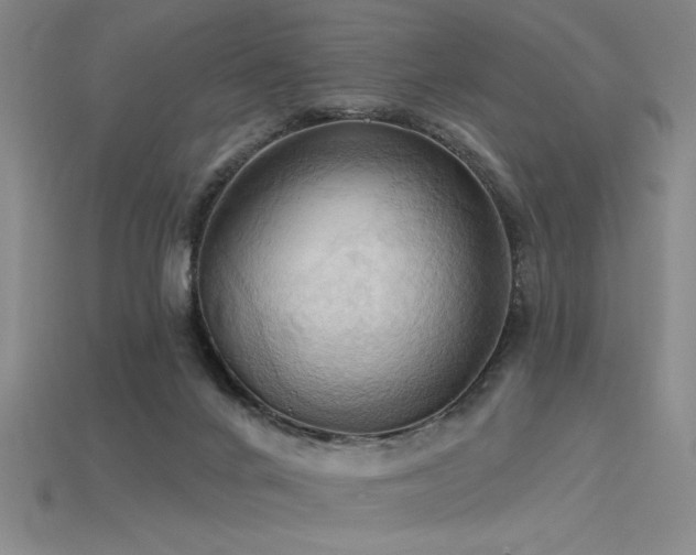 X0000115790024200911131317