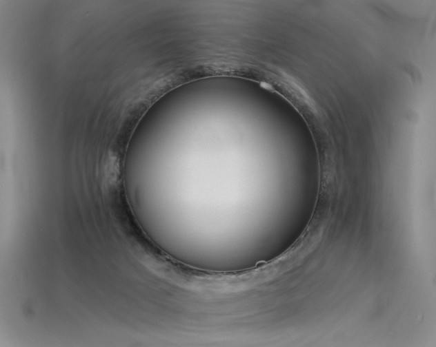 X0000115790025200911131317