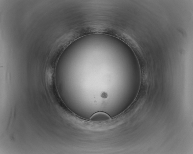 X0000115790026200911131317