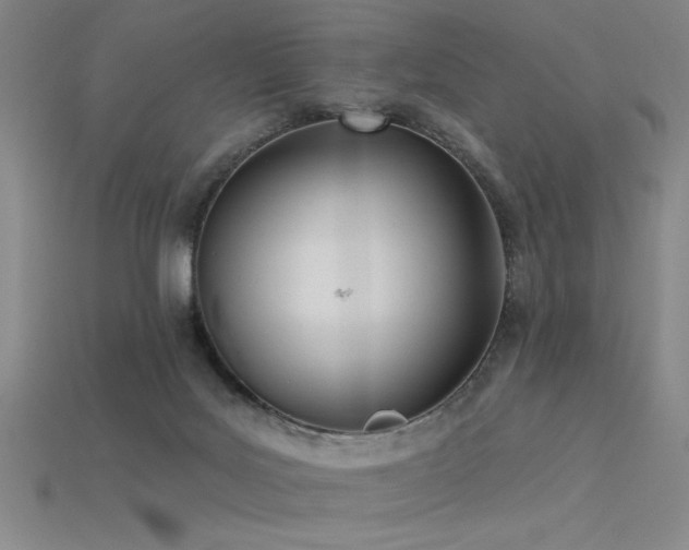 X0000115790027200911131317