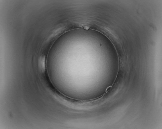 X0000115790028200911131317