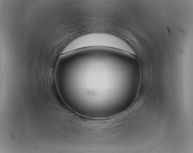 X0000115790029200911131317