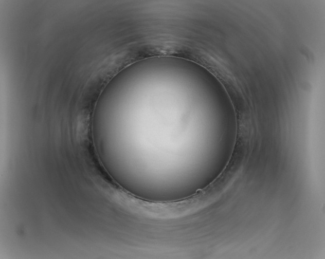 X0000115790030200911131317