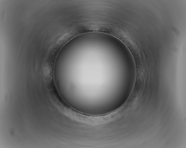 X0000115790031200911131317