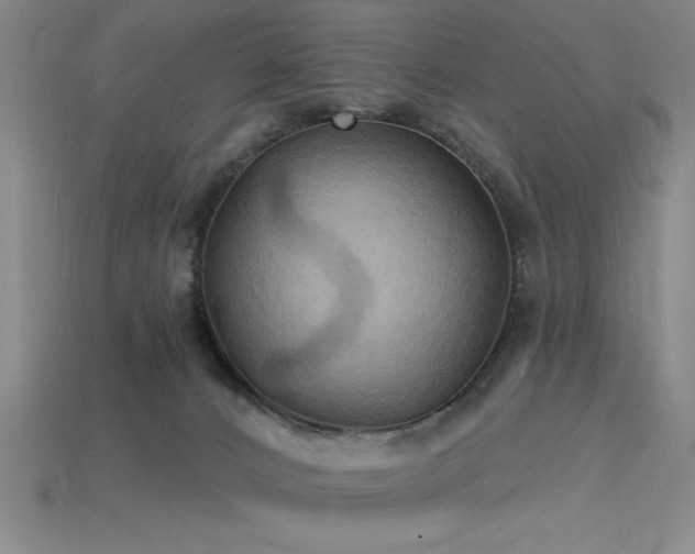 X0000115790032200911131317