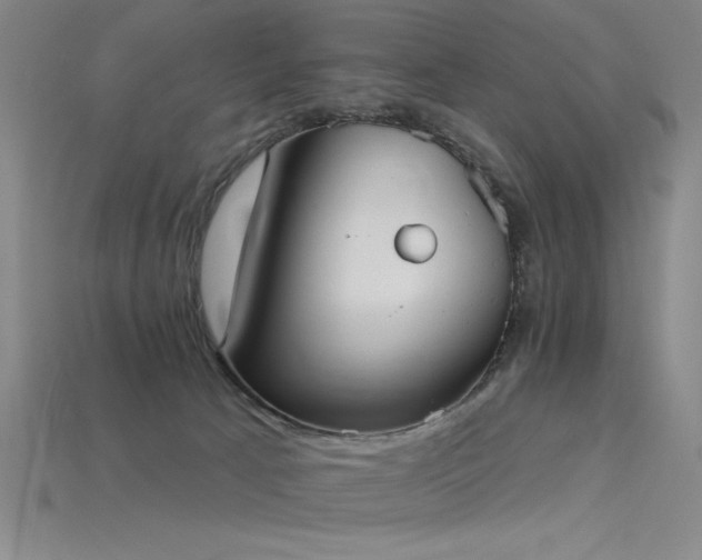 X0000115790033200911131317