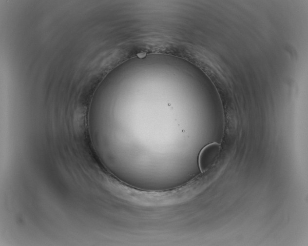 X0000115790034200911131317