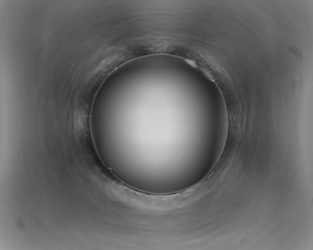 X0000115790035200911131317