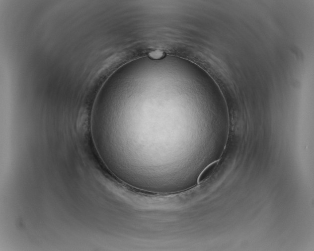 X0000115790036200911131317