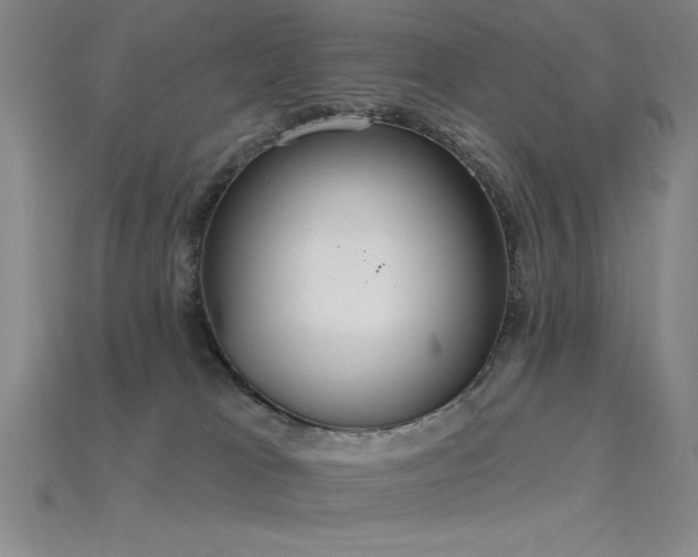 X0000115790037200911131317