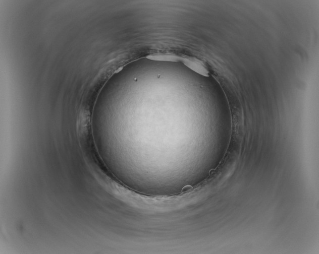 X0000115790038200911131317