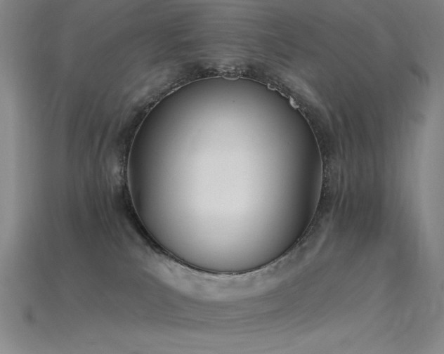 X0000115790039200911131317