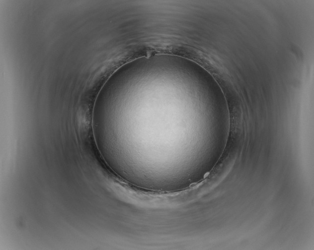 X0000115790040200911131317