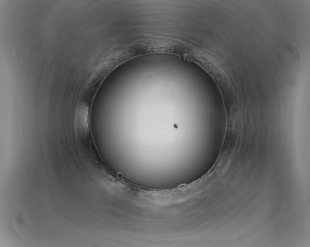 X0000115790041200911131317