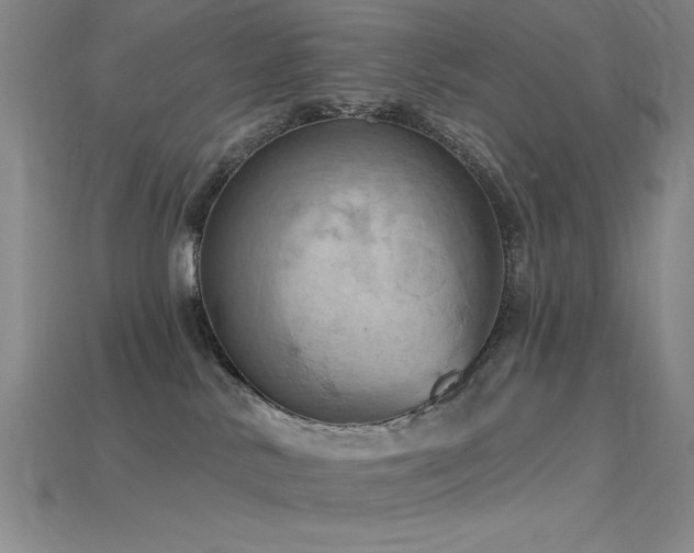 X0000115790042200911131317