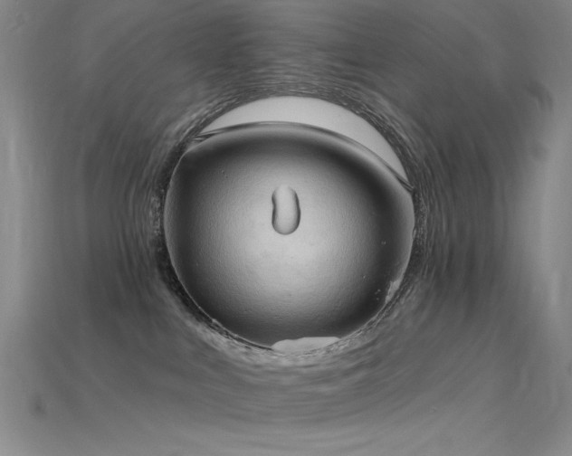 X0000115790043200911131317