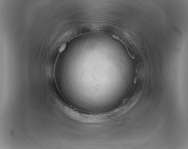 X0000115790044200911131317