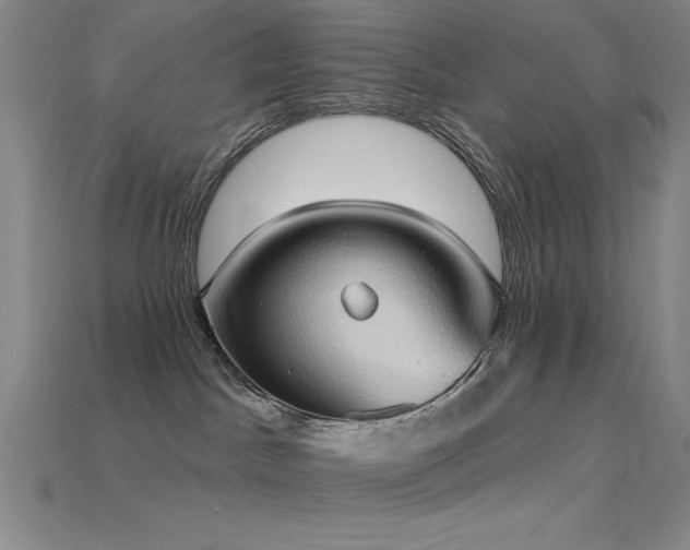 X0000115790045200911131317