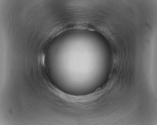 X0000115790046200911131317