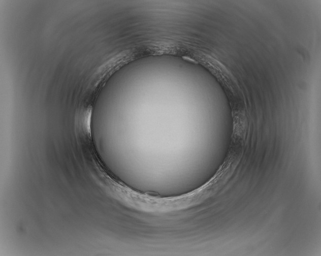 X0000115790047200911131317