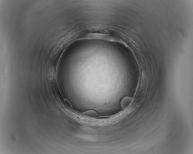 X0000115790048200911131317