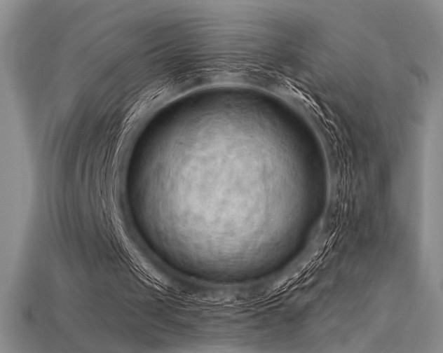 X0000115790049200911131316