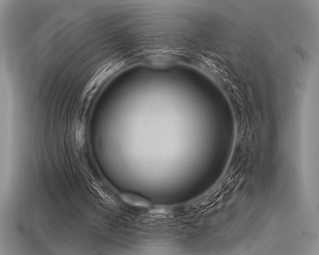 X0000115790050200911131316