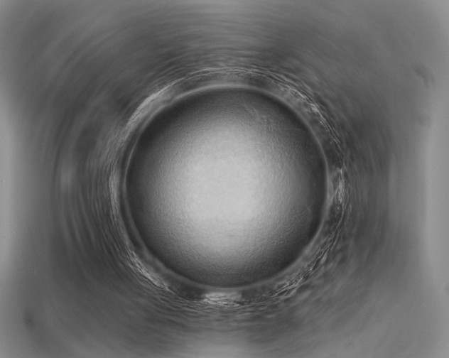 X0000115790051200911131317