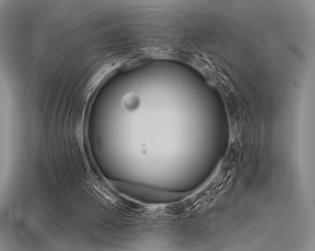 X0000115790052200911131317