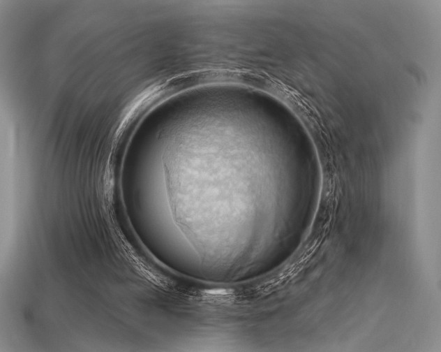 X0000115790053200911131317