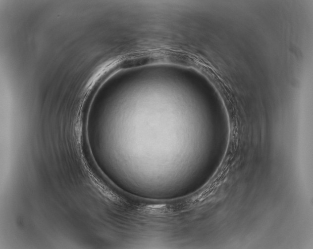 X0000115790054200911131317