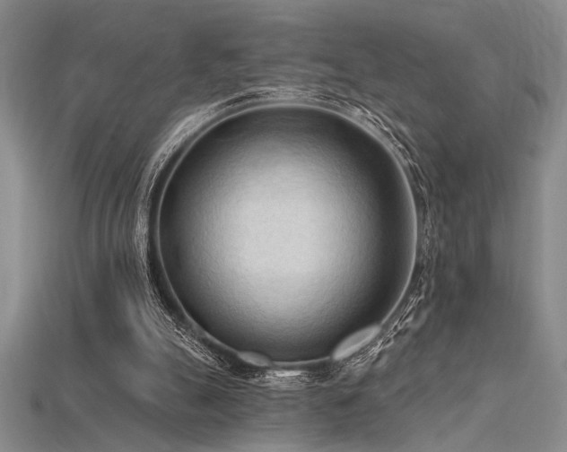 X0000115790055200911131317