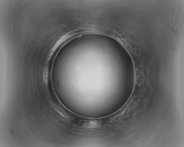 X0000115790056200911131317