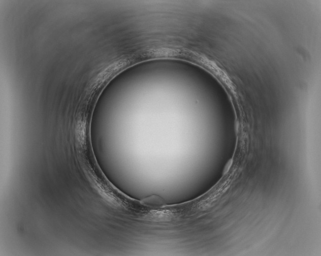 X0000115790057200911131317