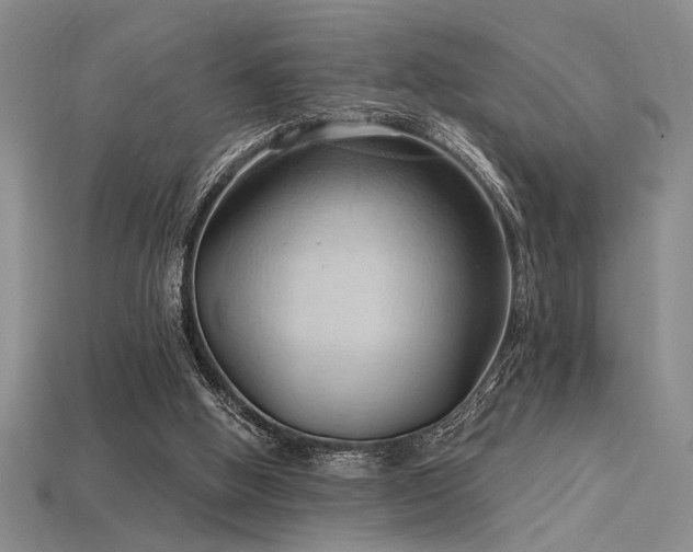 X0000115790058200911131317