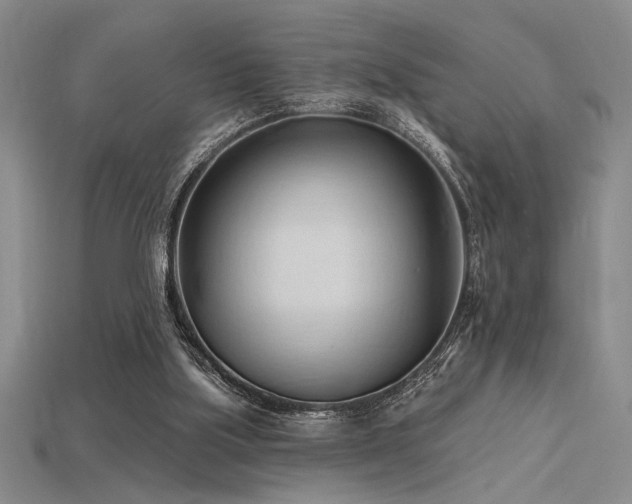 X0000115790059200911131317