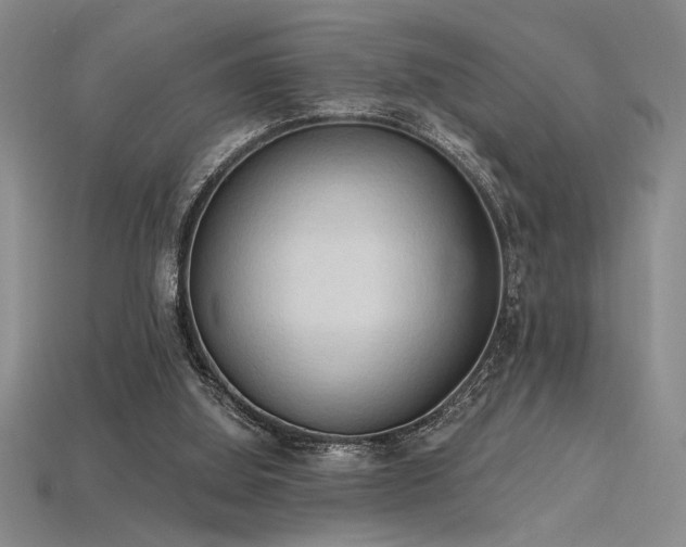 X0000115790060200911131317