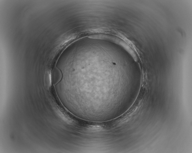 X0000115790061200911131317