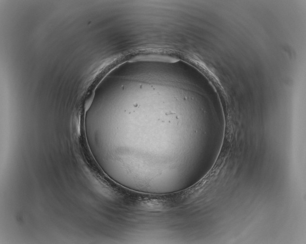 X0000115790062200911131317