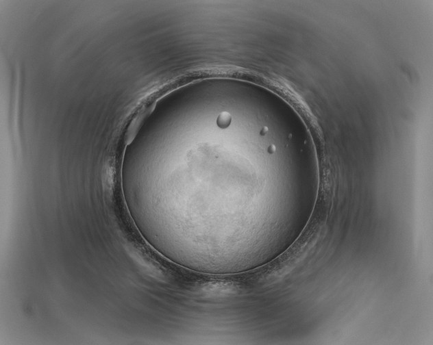 X0000115790063200911131317