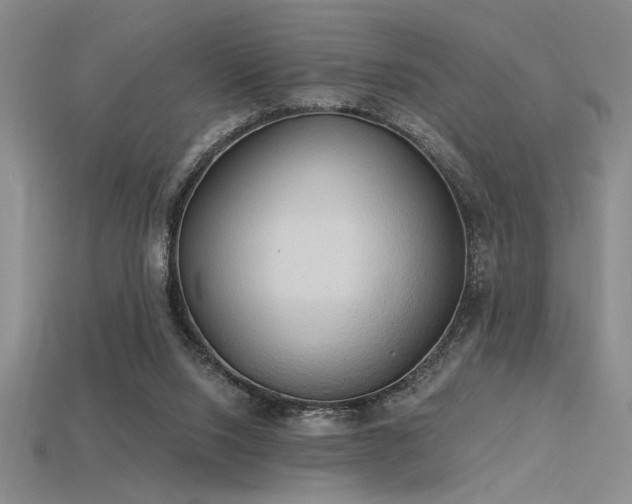 X0000115790064200911131317