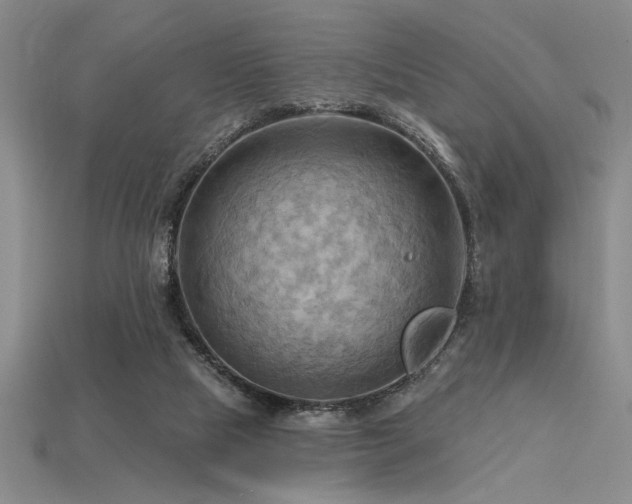 X0000115790065200911131317