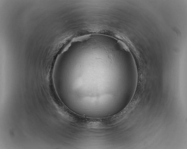 X0000115790066200911131317