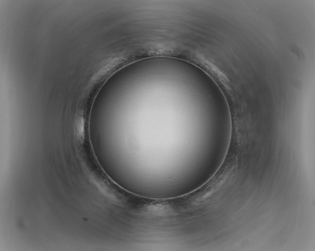 X0000115790067200911131317