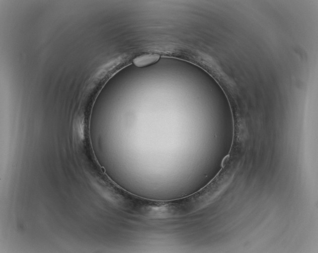 X0000115790068200911131317