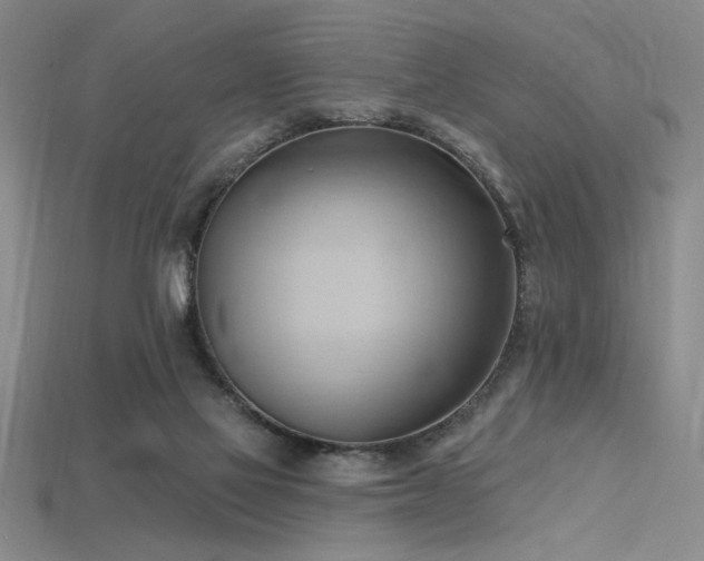 X0000115790069200911131317