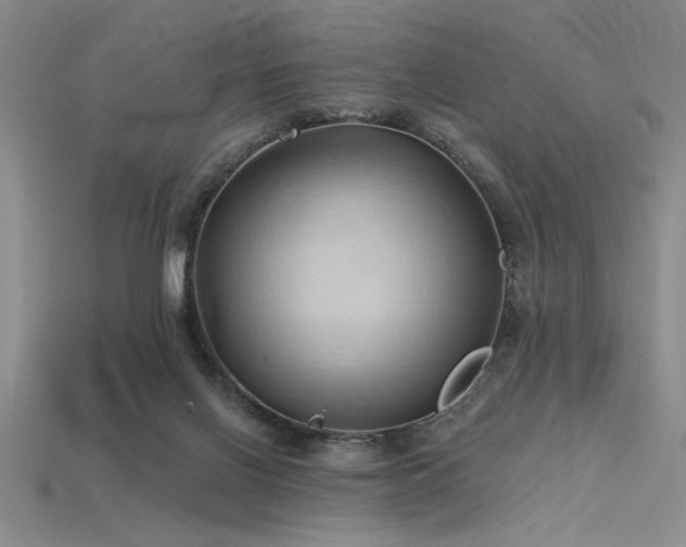 X0000115790070200911131317