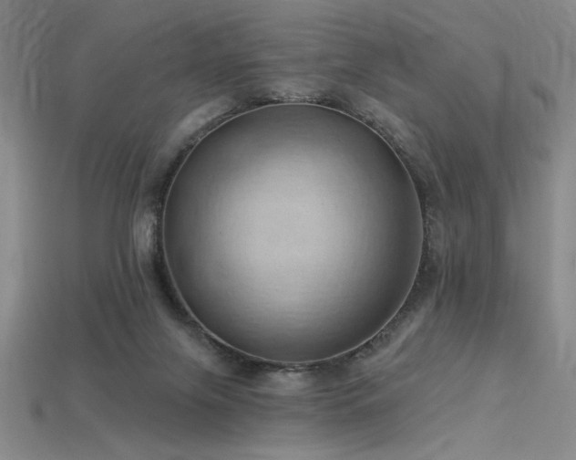 X0000115790071200911131317