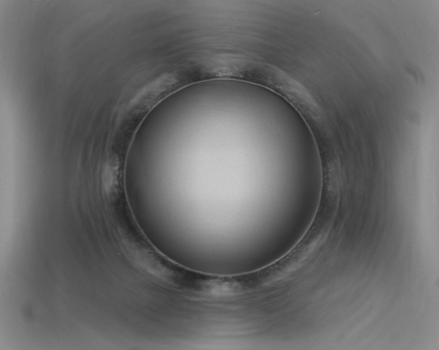 X0000115790073200911131317