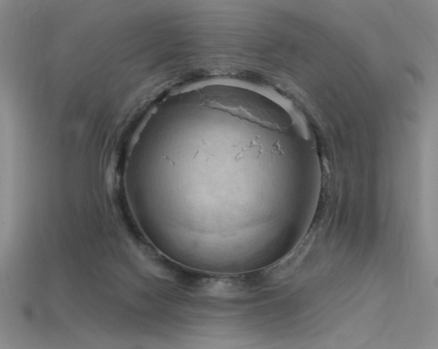 X0000115790074200911131317